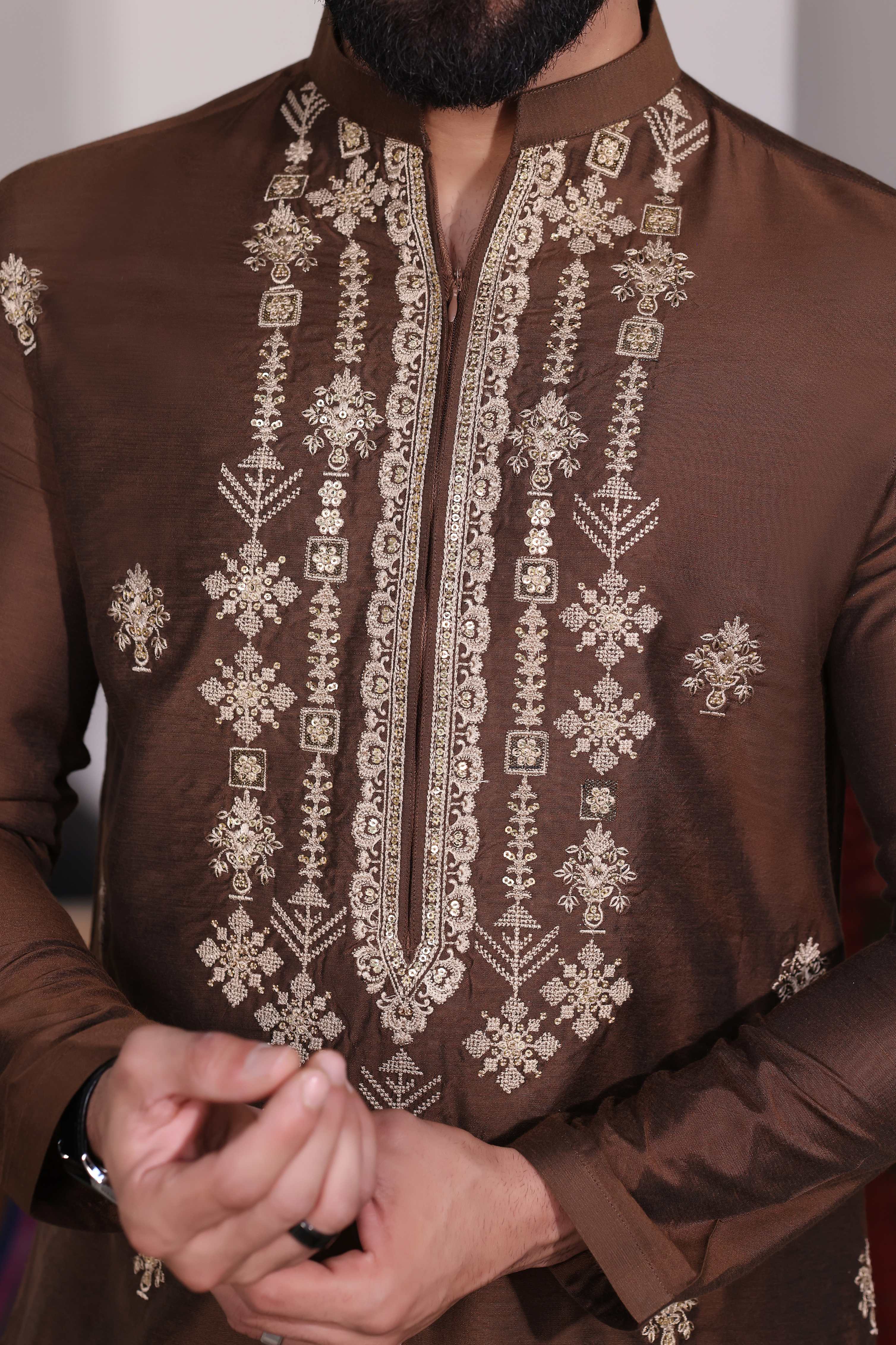 Brown Embroidered Farshi Trouser